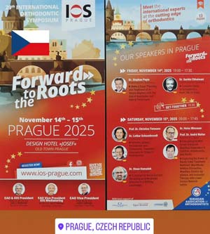 Prag-Forward-to-the-roots